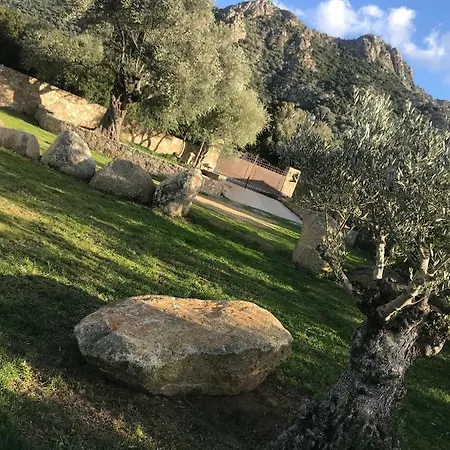 Calisti * Belgodère